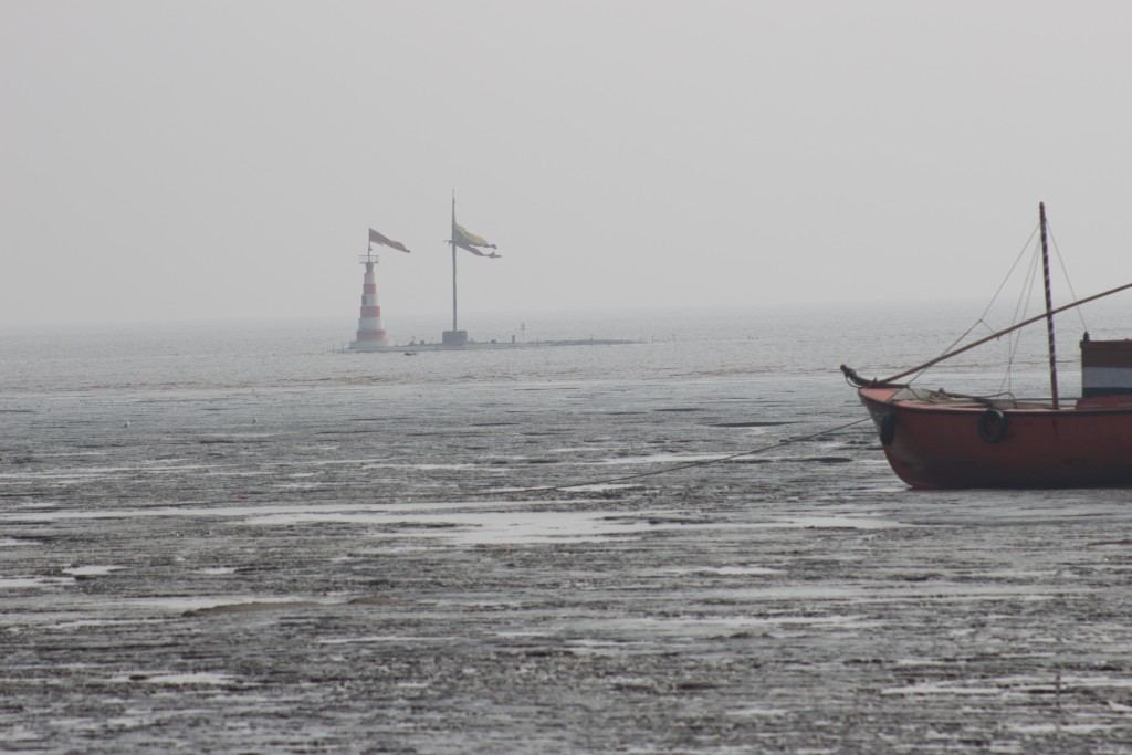 Koliyak Village, Bhavnagar Dist, Gujarat